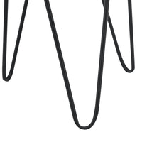 Set Hedera di 2 Supporti per Piante con Coprivaso in Metallo - Nero [en.casa]