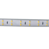 Bobina 100M Striscia Led 220V Bianco Freddo 6500K IP65 Passo 12mm 12W/M 1300LM/W Tagliabile 20cm Doppia Fila 120 smd 2835/m