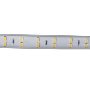 Bobina 100M Striscia Led 220V Bianco Freddo 6500K IP65 Passo 12mm 12W/M 1300LM/W Tagliabile 20cm Doppia Fila 120 smd 2835/m