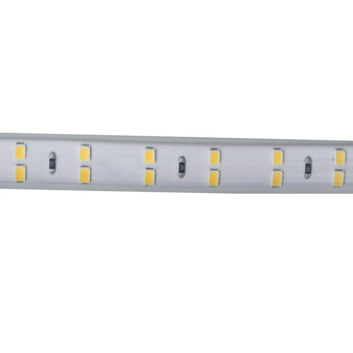 Bobina 100M Striscia Led 220V Bianco Freddo 6500K IP65 Passo 12mm 12W/M 1300LM/W Tagliabile 20cm Doppia Fila 120 smd 2835/m