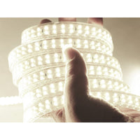 Bobina 100M Striscia Led 220V Bianco Freddo 6500K IP65 Passo 12mm 12W/M 1300LM/W Tagliabile 20cm Doppia Fila 120 smd 2835/m