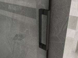 Box Doccia H195 Trasparente 8mm Scorrevole Profili Neri - Sagittarius Black - 70x120