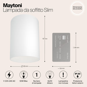 Lampada Da Soffitto C014Cl-01W