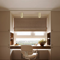 Lampada Da Soffitto C052Cl-01Mg