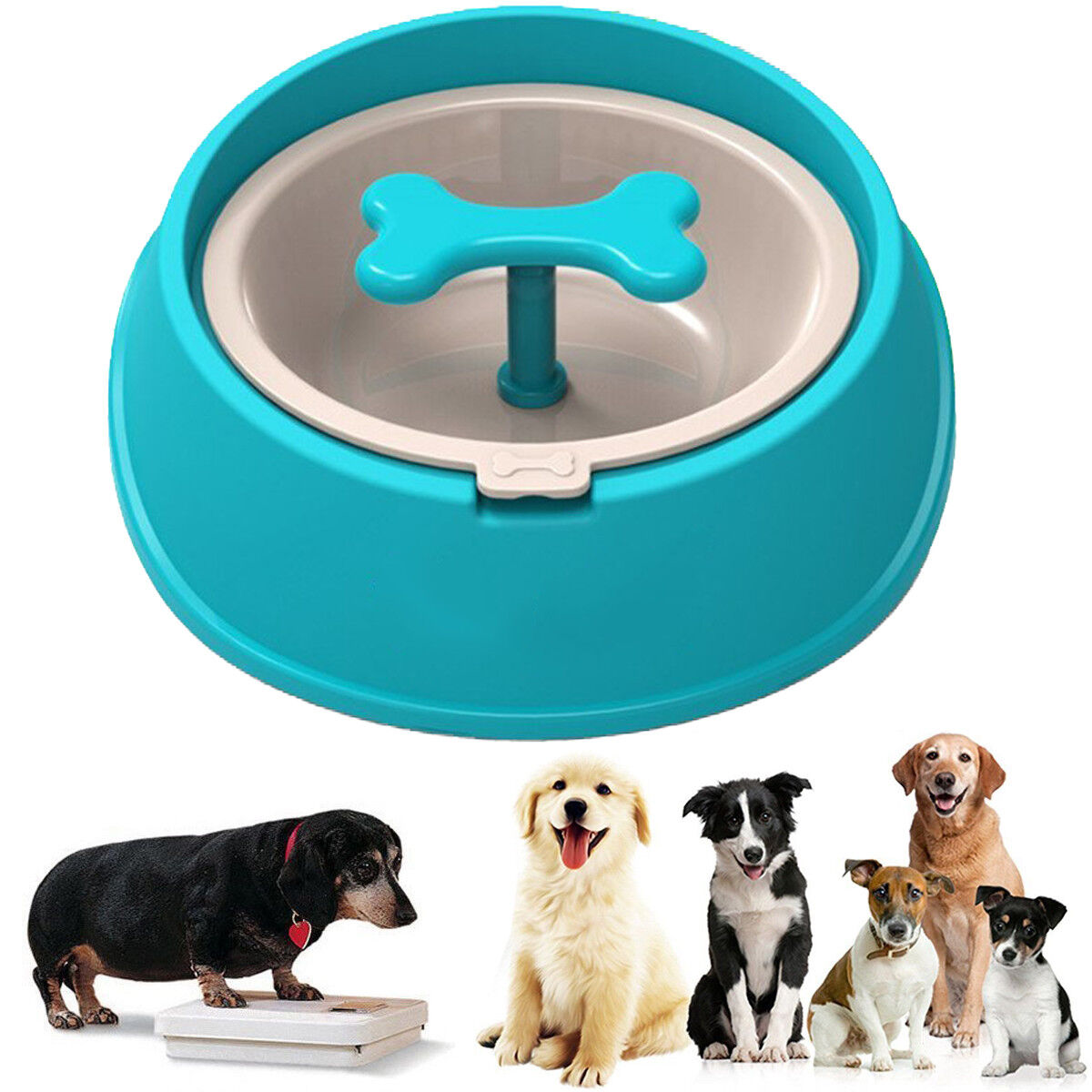 CIOTOLA ANTISOFFOCAMENTO ANTI INGOZZAMENTO OBESITA' CANE CANI GATTO  0.65L