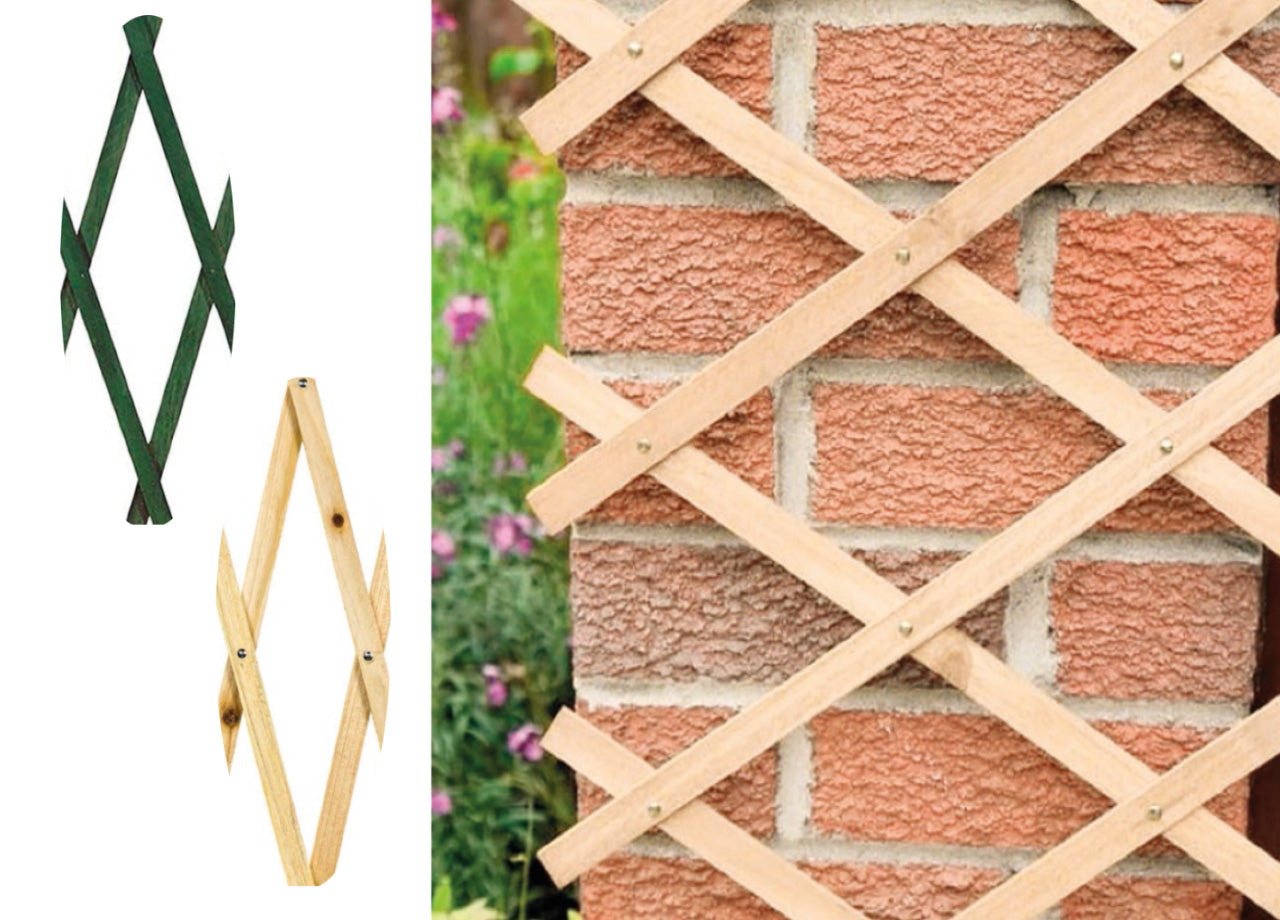 Traliccio Estensibile In Legno Per Piante Rampicanti Recinzione Giardino Balcone - 100x200 - Verde