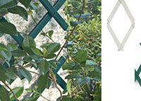 Traliccio Estensibile In PVC Per Piante Rampicanti Recinzione Giardino Balcone - 100x200 - Bianco