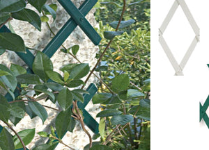 Traliccio Estensibile In PVC Per Piante Rampicanti Recinzione Giardino Balcone - 100x200 - Bianco