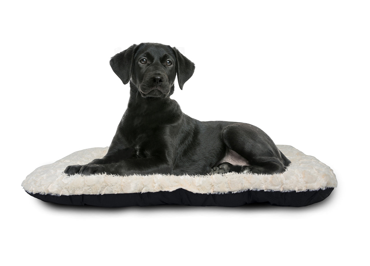 Cuccia Cane Gatto Letto Cuscino Per Animali Materasso Morbido Vari Modelli - Cuccia - Dolly