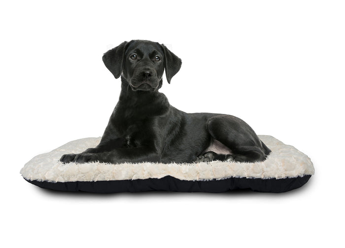 Cuccia Cane Gatto Letto Cuscino Per Animali Materasso Morbido Vari Modelli - Cuccia - Dolly