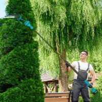 Motosega a Batterie 2 in 1 con Palo Telescopico, Motore Brushless, 2 Batterie e Blocco di Sicurezza, Blu