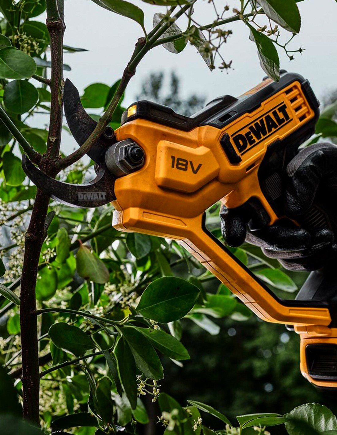 Cesoia da giardinaggio DeWALT DCMPP568N (Solo corpo)