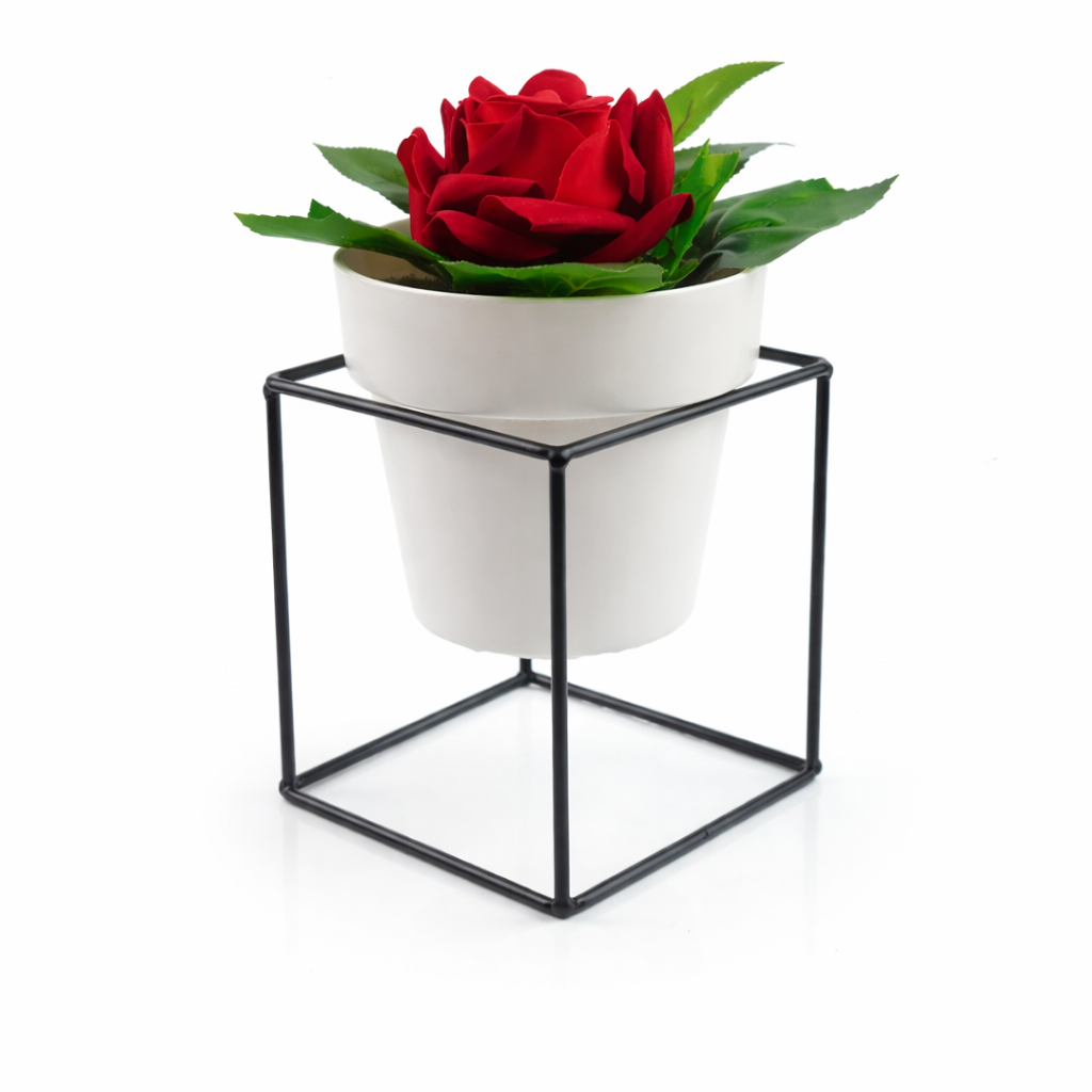Nicoli Alzatina Arké Up + vaso bianco con rosa in velluto
