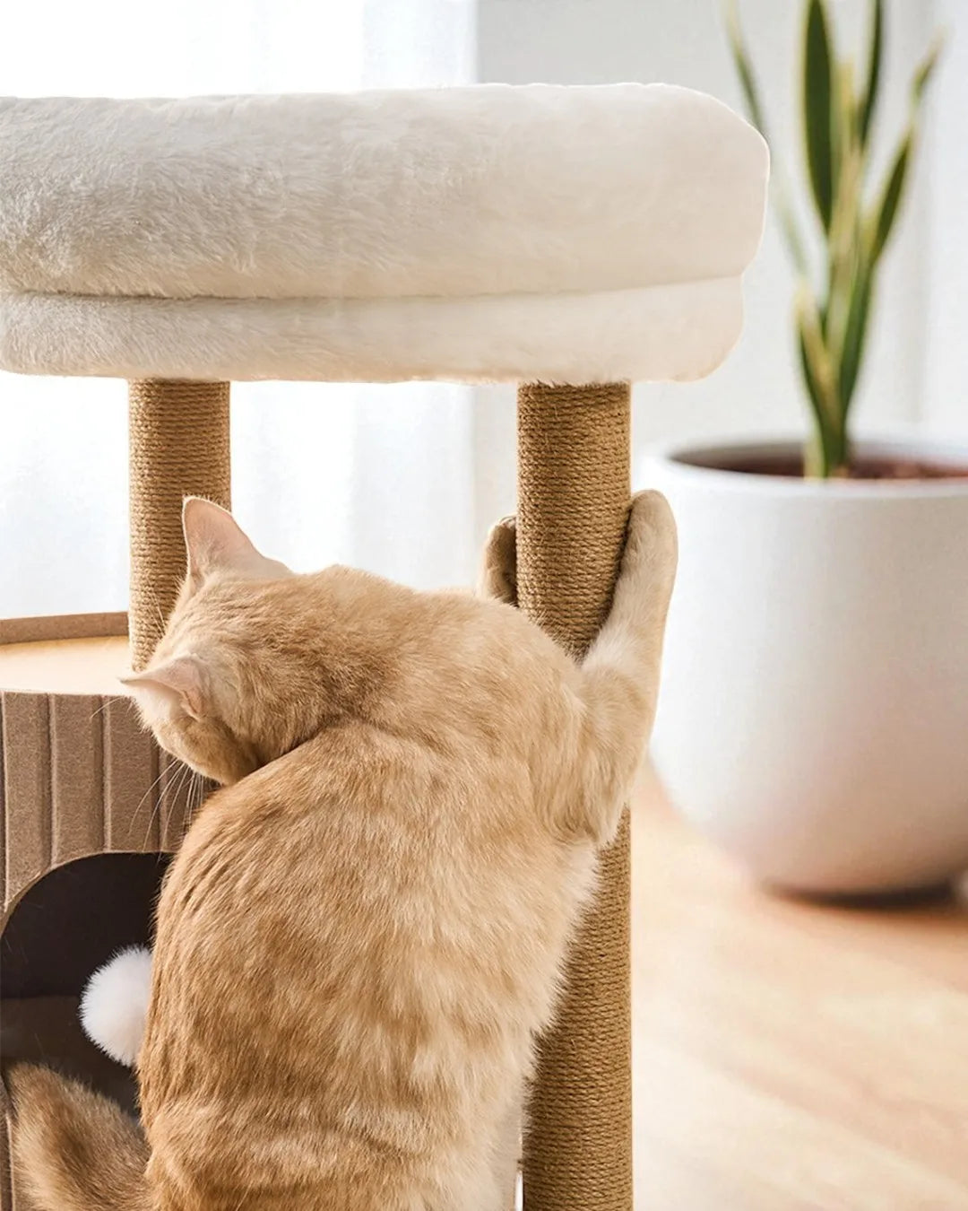 Albero per gatti Horizon