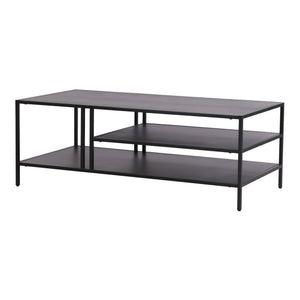 Tavolino Basso Kumlinge in Metallo con Ripiani 40 x 110 x 55 cm Nero [en.casa]