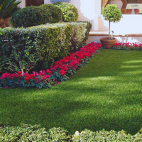 Prato sintetico tappeto erboso spessore fili erba 45 mm sempre verde giardino *** misura larghezza 2 mt, confezione 1