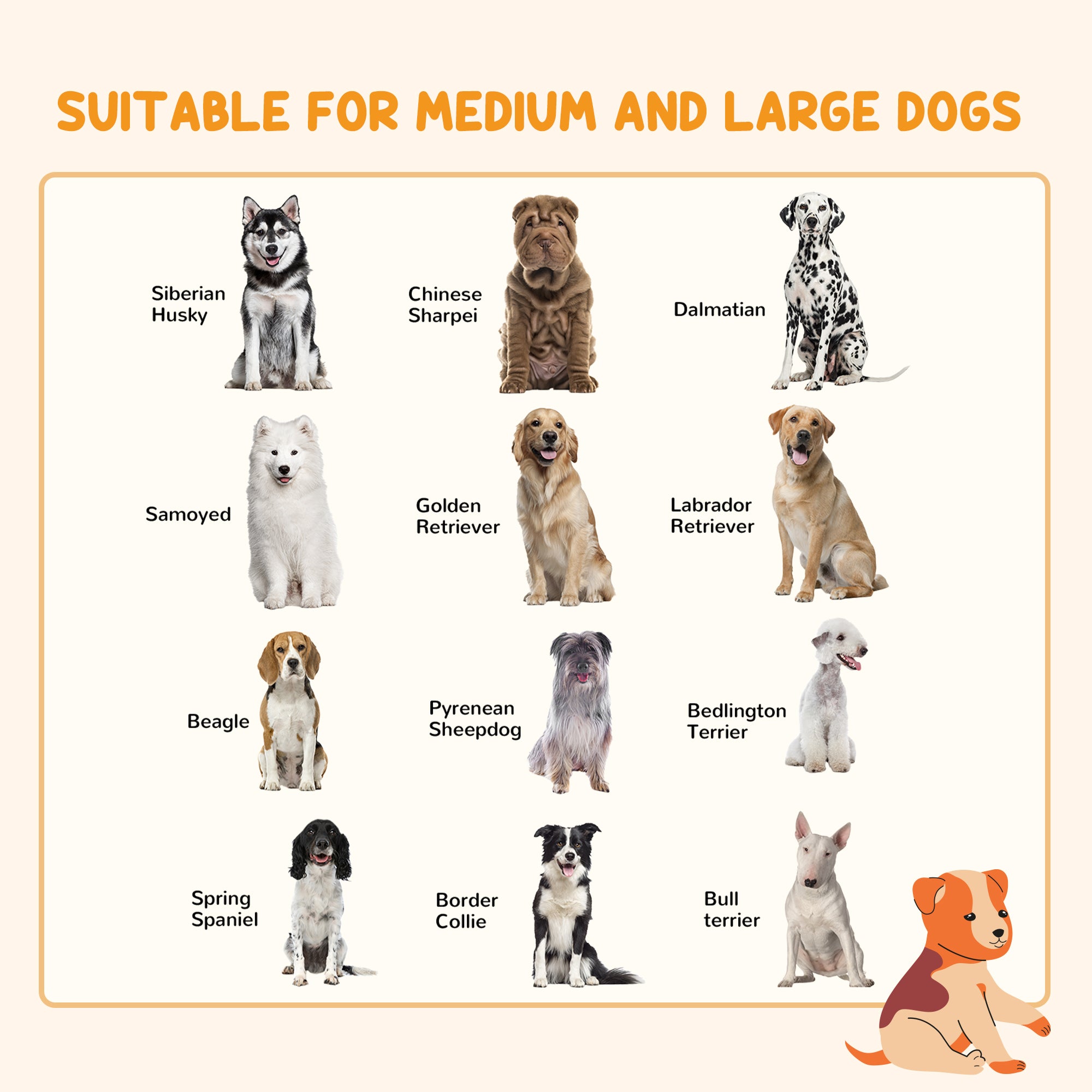 Easycomfort Cancellino per Cani di Taglia Media Pieghevole a 6 Pannelli, in Acciaio e Plastica, 123x102x100 cm, Nero