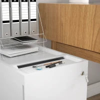 Schedario per Ufficio con 2 Cassetti, Fessura a Busta e Barra per Appendere, in Acciaio, 30x50x53.5 cm, Bianco