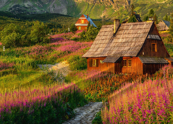 Copripiumino Matrimoniale Stampa Digitale In 100% Cotone Disegno Svizzera