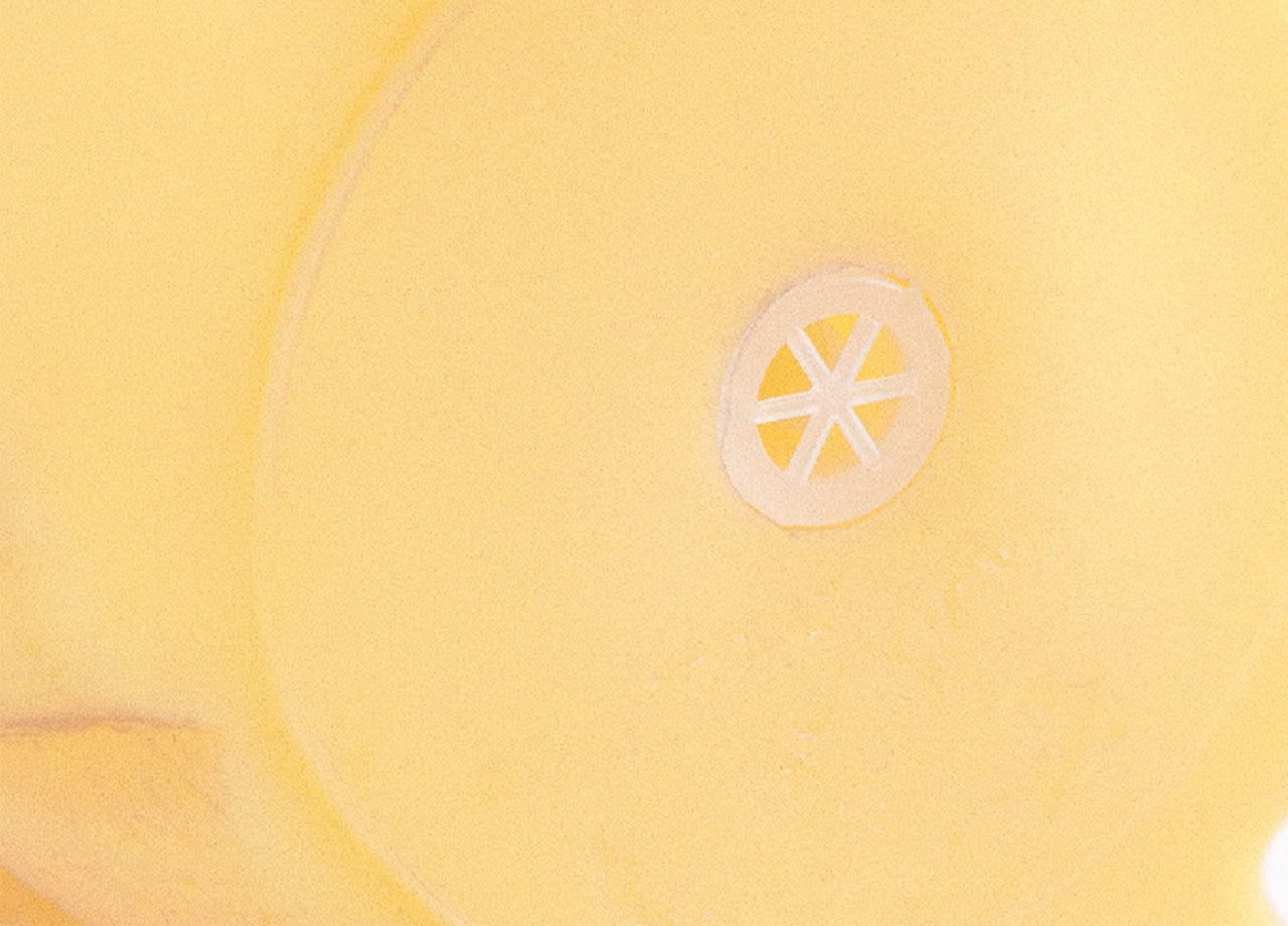 Set 2 Pezzi Gioco Pet Modello Food Chicken Resistente Per Animali Domestici