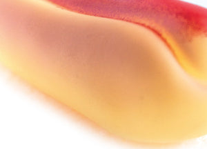 Set 2 Pezzi Gioco Pet Modello Food Hot Dog Resistente Per Animali Domestici