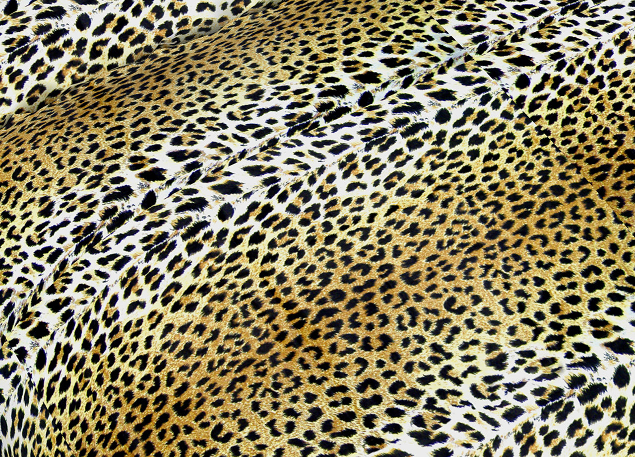 Completo Lenzuola In 100% Cotone Matrimoniale Dis. Leopardato C.N.