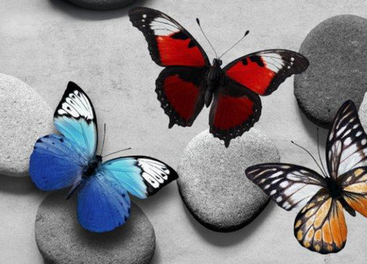 Tappeto Passatoia Cucina Antiscivolo Sottolavello Disegno Papillon - 50x280 - Papillon