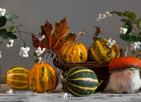 Tappeto Passatoia Cucina Antiscivolo Con Stampa Digitale Dis. Zucche 492 - 50x320 - Zucche