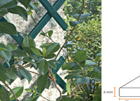 Traliccio Estensibile In PVC Per Piante Rampicanti Recinzione Giardino Balcone - 100x200 - Verde
