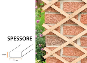 Traliccio Estensibile In Legno Per Piante Rampicanti Recinzione Giardino Balcone - 100x200 - Verde