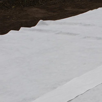 Rotolo prato erbabella 1 mt fili 25 mm + rotolo geotessuto tnt 1 m x 50 m 200 g