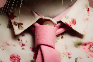 DIPINTO SU TELA LACCATO BUNNY C/CORNICE CM 62,5X2,8X62,5