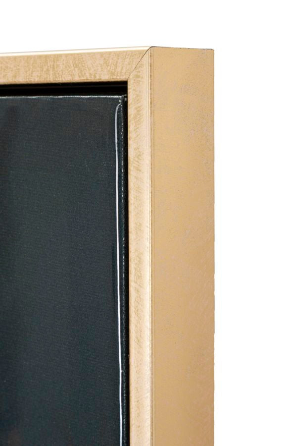 DIPINTO SU TELA LACCATO MONKY C/CORNICE CM 52,5X2,8X72,5