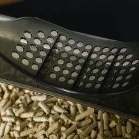 Lettiera per Gatti Chiusa con Vassoio Estraibile, Tappetino e Paletta Inclusi, 47x45x42cm, Grigio