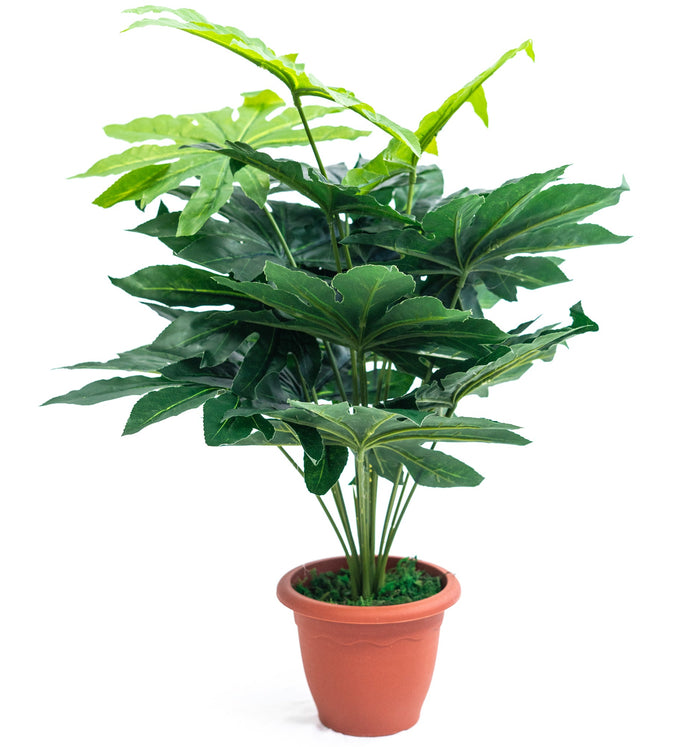 Pianta verde artificiale per interno Dieffenbachia, Filodendro, Palma, Arelia