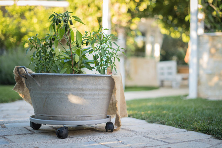 Carrello portavasi circolare,Ø 35cm,alluminio - PFG418/A