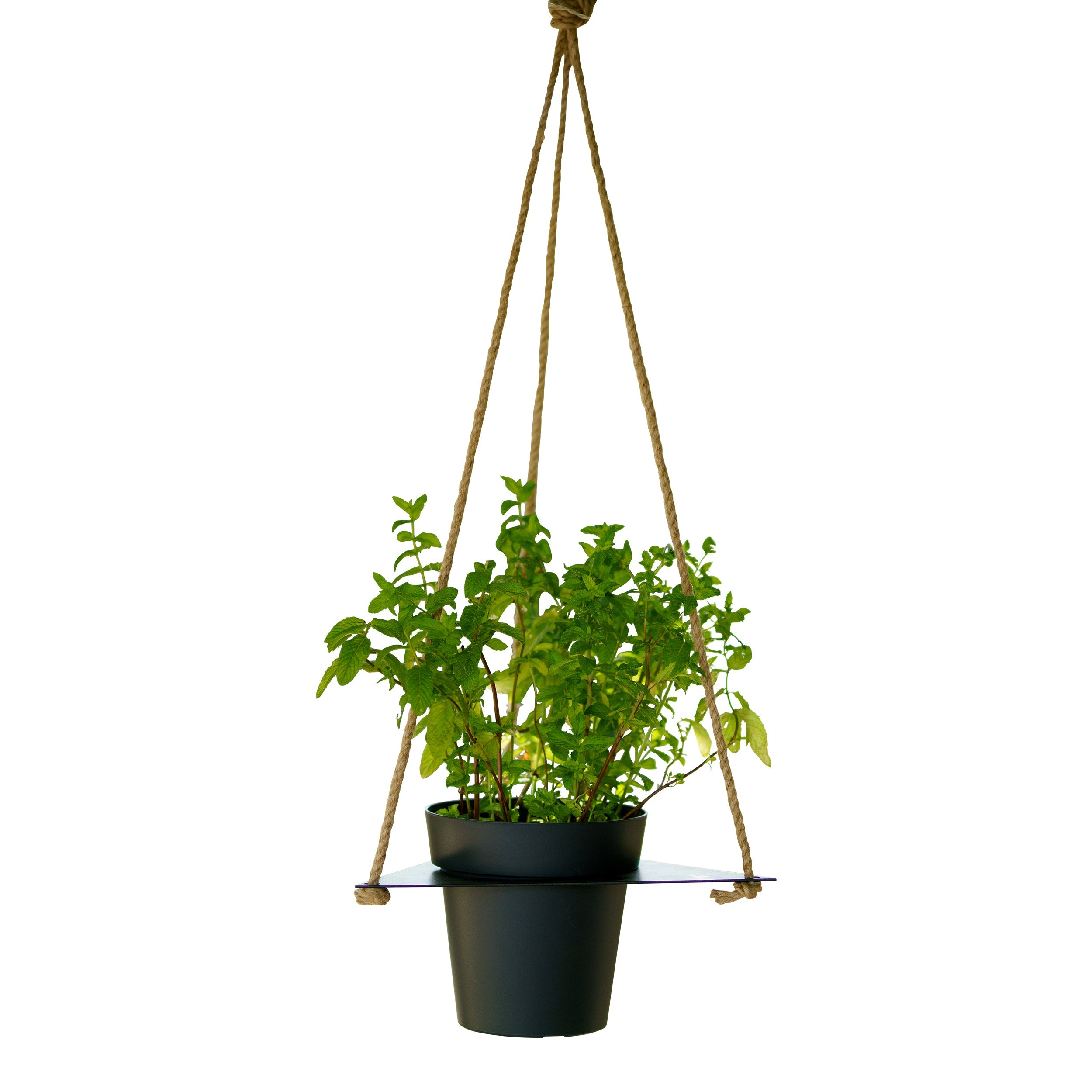 Tecnokit Porta vasi sospesi con vaso cm 16 incluso