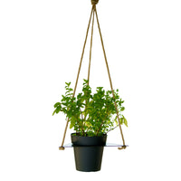 Tecnokit Porta vasi sospesi con vaso cm 16 incluso