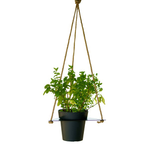 Tecnokit Porta vasi sospesi con vaso cm 16 incluso