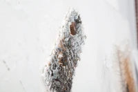 Dipinto Su Tela Guitar Art Cm 90X3.5X120