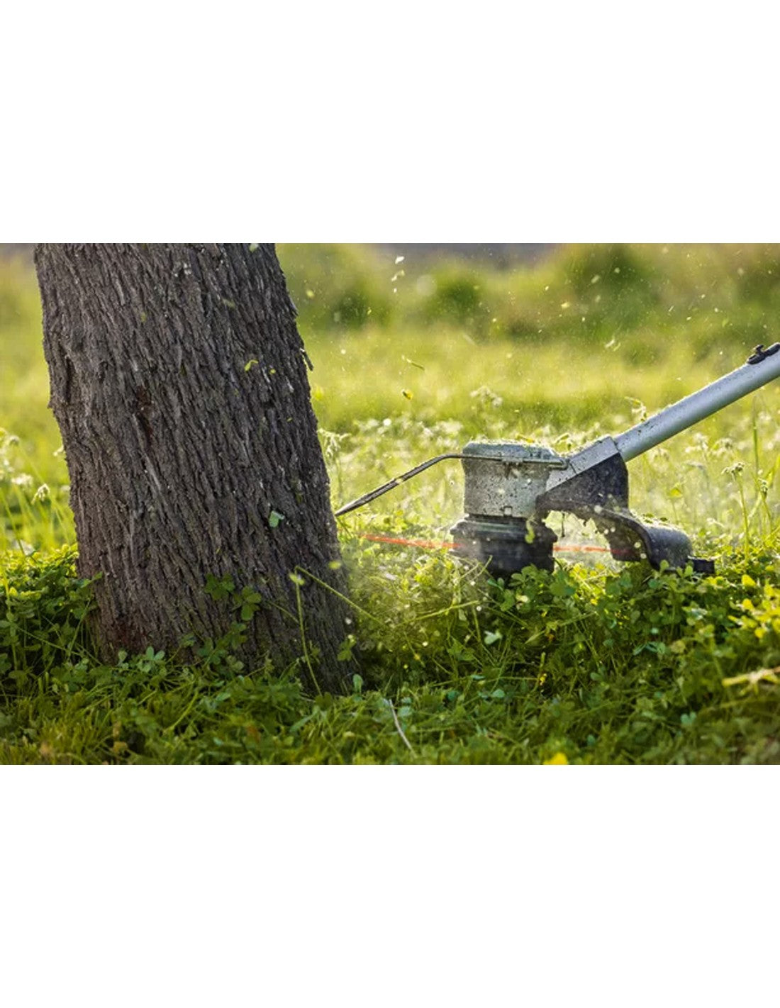 Decespugliatore BOSCH GRT 18V-33 (Solo corpo)