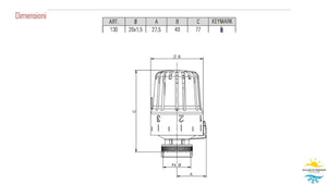 Testa termostatica con sensore liquido Pintossi 