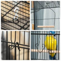 Gabbia per Uccelli in Metallo e Plastica con Trespoli, Altalena e Ciotole, 46.5x35.5x92 cm, Nero