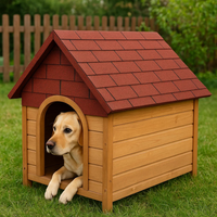 Guaina tegolata cucciasciutta impermeabilizzazione cuccia rosso mattone 3 mq