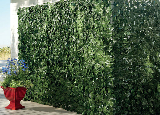 3mt Edera Finta Sempreverde Siepe Foglie Ornamentali Frangivista Coprente Per Recinzione - 1.5h mt - 3mt