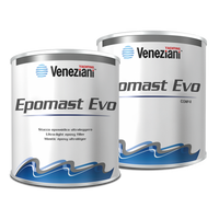 EPOMAST EVO COMPONENTE  "B" LT.5