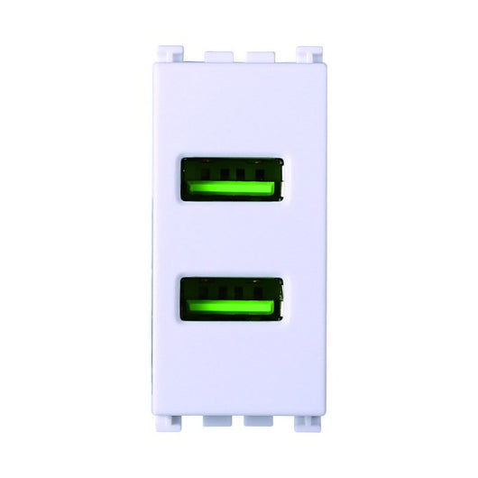 ETTROIT Modulo Presa Caricatore USB 5V 2,1A 2 Porte USB-A Colore Bianco Compatibile Con Vimar Arke