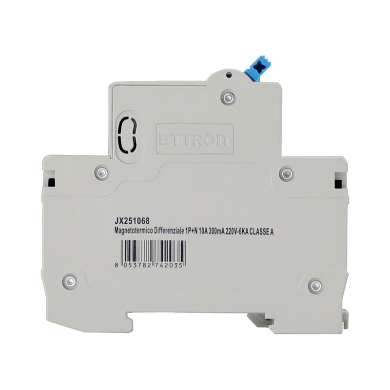 RCBO Interruttore Magnetotermico Differenziale Tipo A Curva C 1P+N 2M 6000A 300mA  C10A  AC 230V IP20 IEC61009-1