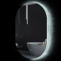 kleankin Specchio Bagno LED Antiappannamento con Luminosità Regolabile, in Vetro e Alluminio, 81x51x4.5 cm