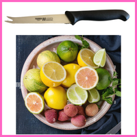 Coltello per agrumi seghettato coltelli da cucina professionale multiuso frutta